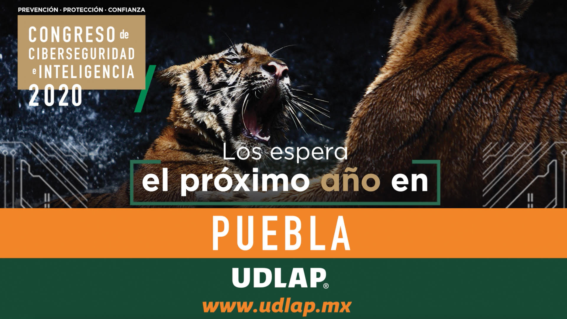 Imagen Destacada